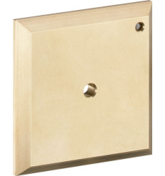 Płytka do przepłukiwania iControl Chrom Hansgrohe (15956000)
