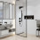 Głowica prysznicowa 260 2jet EcoSmart z przyłączem ściennym Czarny Matowy Pulsify E Hansgrohe (24351670)