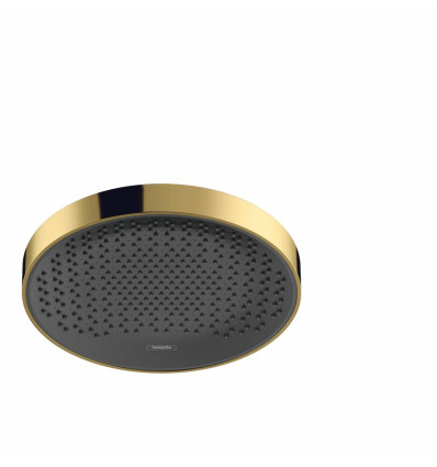 Akcesorium natryskowe Rainfinity złoty optyczny polerowany Hansgrohe (26229990)