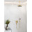 Przyłącze sufitowe S 30 cm złoty optyczny polerowany Hansgrohe (27389990)