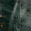 Wąż prysznicowy 160 Hansgrohe (28250210)