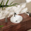 Umywalka 450/450 wpuszczana Hansgrohe (60159450)
