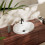 Umywalka 550/450 wpuszczana Hansgrohe (60161450)