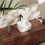 Umywalka 300/300 nablatowa Hansgrohe (60167450)