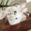 Umywalka 600/450 nablatowa Hansgrohe (60172450)