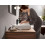 Bateria umywalkowa 110 Czarny Mat Vivenis Hansgrohe (75022670)