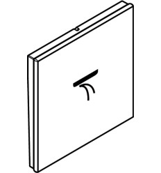 Symbol strumień Rain Flow do RainSelect Złoty Optyczny Polerowany Hansgrohe (93305990)