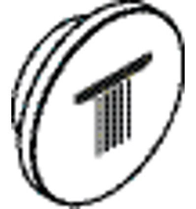 AXOR Symbol strumień Rain duży do modułu Select Chrom Axor (93308000)