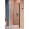 Drzwi prysznicowe 90 Nes Brushed GunMetal DWS Radaway (10028090-92-01R)