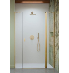 Drzwi prysznicowe 120 Nes Gold DWJS Radaway (10038120-09-01R)