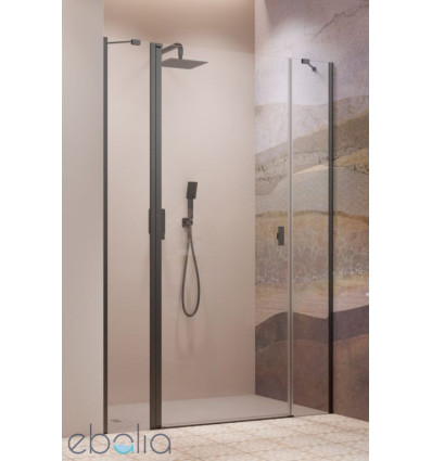 Drzwi prysznicowe 120 Nes Brushed GunMetal DWJS Radaway (10038120-92-01L)