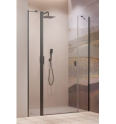 Drzwi prysznicowe 120 Nes Brushed GunMetal DWJS Radaway (10038120-92-01L)