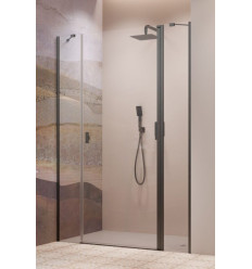Drzwi prysznicowe 120 Nes Brushed GunMetal DWJS Radaway (10038120-92-01R)
