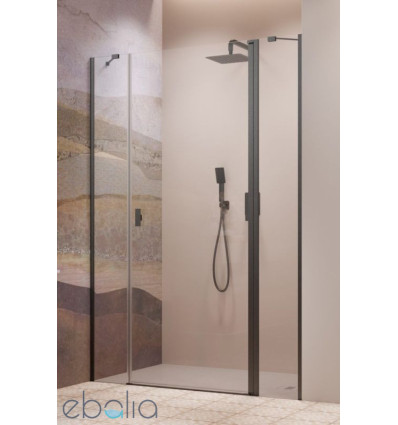 Drzwi prysznicowe 120 Nes Brushed GunMetal DWJS Radaway (10038120-92-01R)