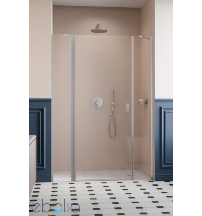 Drzwi prysznicowe 120 Nes Brushed Nickel DWJS Radaway (10038120-91-01L)
