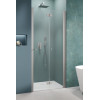 Drzwi prysznicowe 70 Nes Brushed Nickel DWB Radaway (10029070-91-01R)