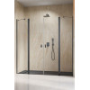 Drzwi prysznicowe 130 Nes Brushed GunMetal DWD II Radaway (10037073-92-01 + 10041057-92-01)