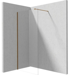 Ścianka prysznicowa walk-in 120 cm Deante (KTJ C32P)