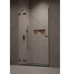 Drzwi prysznicowe 80 Essenza Pro 8 Brushed GunMetal DWJ Radaway (10480512-01-01L + 10510240-92-01L)