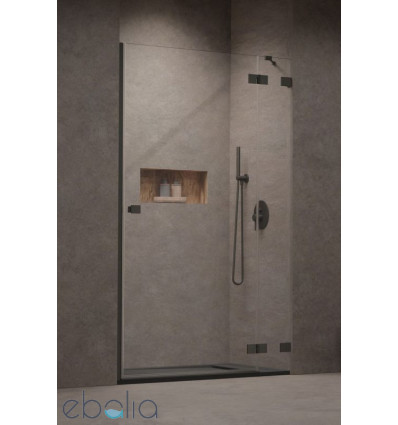Drzwi prysznicowe 80 Essenza Pro 8 Brushed GunMetal DWJ Radaway (10480512-01-01R + 10510240-92-01R)