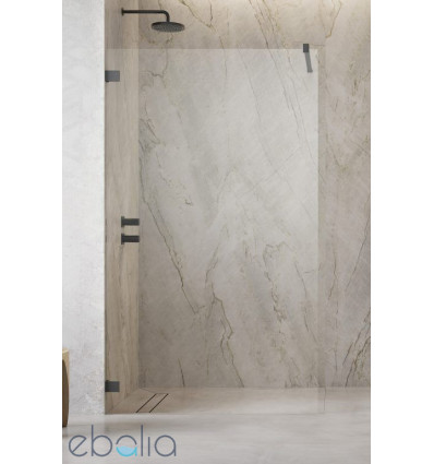 Ścianka prysznicowa 50 Essenza Pro 8 Brushed GunMetal Walk-in II Radaway (1012050-92-01)