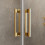 Drzwi prysznicowe 125 Idea Gold DWJ Radaway (387023-09-01R)