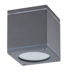 Zewnętrzne lampy sufitowe Akron Rabalux (8149)