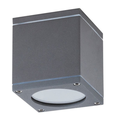Zewnętrzne lampy sufitowe Akron Rabalux (8149)