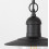 Lampy wiszące zewnętrzne Oslo Rabalux (8717)