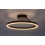 Lampy sufitowe Isaure Rabalux (71302)
