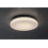 Zewnętrzne lampy sufitowe Lowar Rabalux (77133)