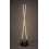 Lampy podłogowe Nivaro Rabalux (74166)