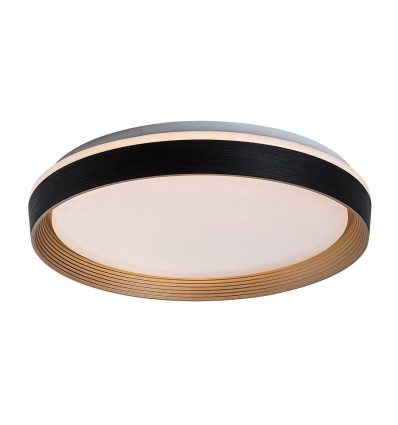 Lampy sufitowe Ladan Rabalux (71308)