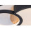 Lampy sufitowe Leola Rabalux (71044)