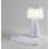 Lampy stołowe Zavier Rabalux (74214)