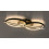 Lampy sufitowe Arash Rabalux (71403)