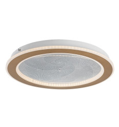 Lampy sufitowe Efrael Rabalux (71281)