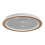 Lampy sufitowe Zofrael Rabalux (71282)