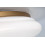 Lampy sufitowe Caliope Rabalux (75053)
