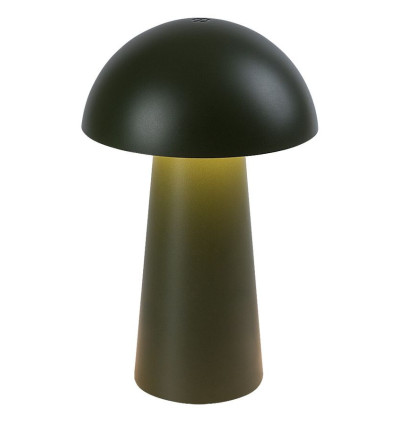 Lampki dekoracyjne Mireo Rabalux (76038)