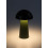 Lampki dekoracyjne Mireo Rabalux (76038)