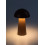 Lampki dekoracyjne Mireo Rabalux (76039)