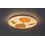 Lampy dla dzieci Hedgy Rabalux (71191)