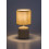 Lampy stołowe Daphni Rabalux (74053)