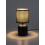 Lampy stołowe Daphni Rabalux (74056)