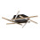 Lampy sufitowe Severine Rabalux (71365)