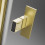 Drzwi prysznicowe 80 Nes Brushed Light Gold DWJ II Radaway (10036080-98-01L)