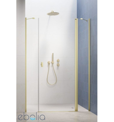 Drzwi prysznicowe 120 Nes Brushed Light Gold DWJS Radaway (10038120-98-01R)