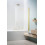 Parawan nawannowy 100 Nes Brushed Light Gold PND I Radaway (10010100-98-01R)